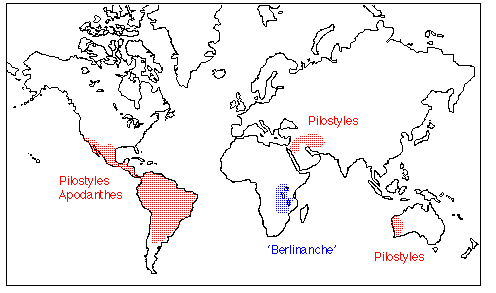 Apodanthaceae Distribution Map