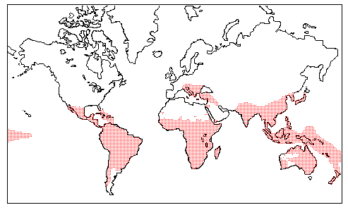 Loranthaceae Distribution Map
