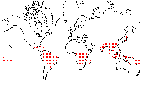 human bot fly range map