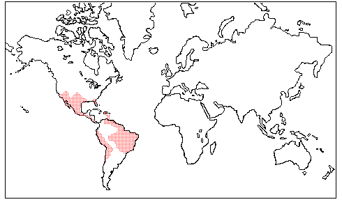 Krameriaceae Distribution Map