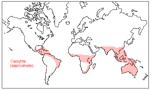 Cassytha Distribution Map
