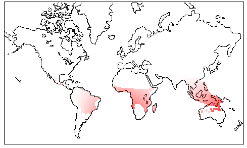 Opiliaceae Distribution Map