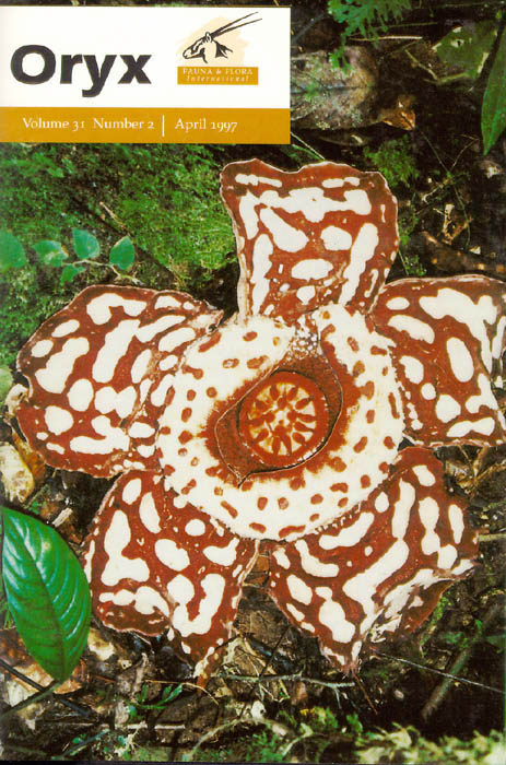 Rafflesia hasseltii page